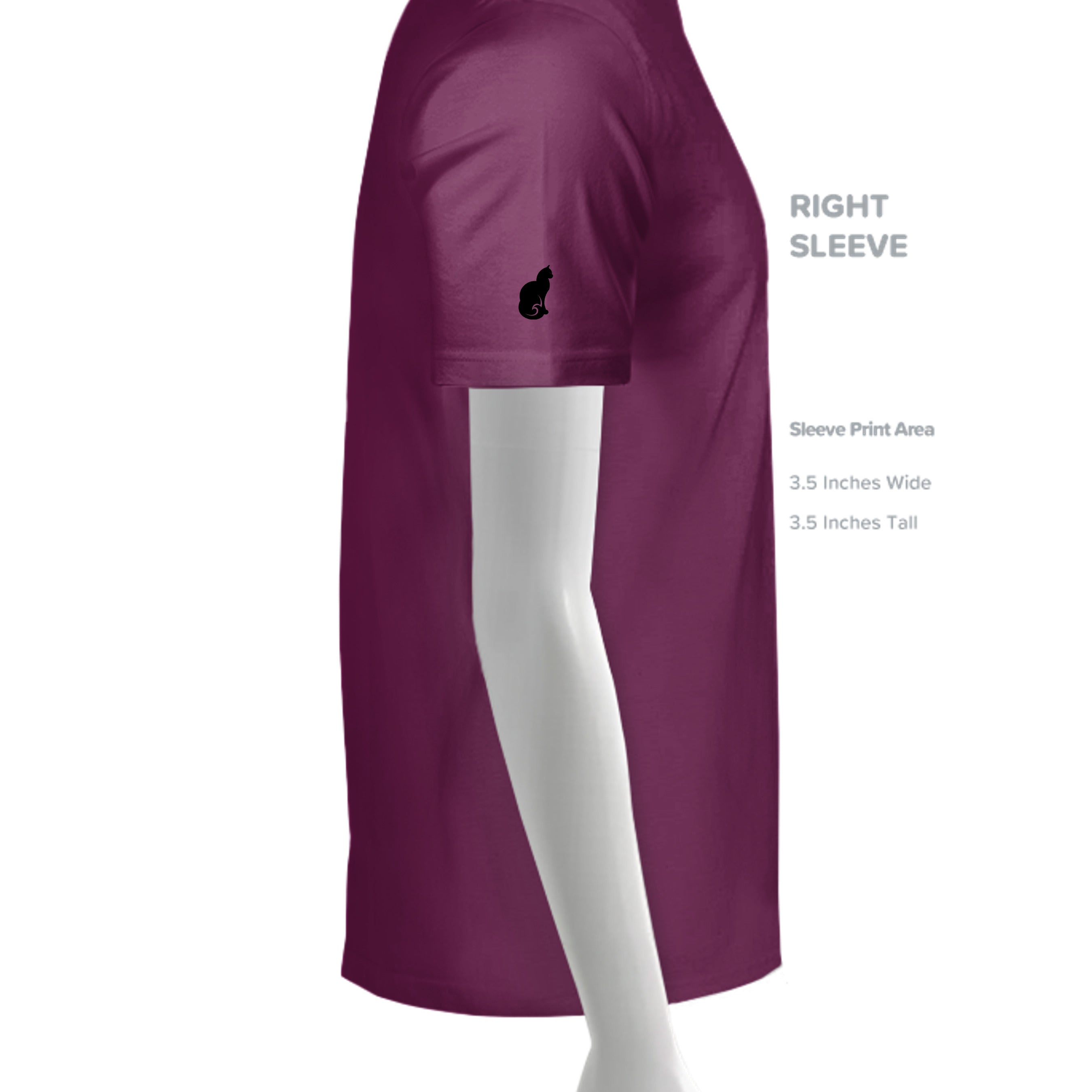 Raspberry - LPC54V - SLEEVE_RIGHT